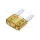 apm-5a-optifuse