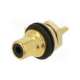 nys367-0-rean