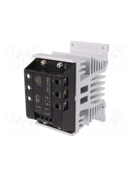 srh2-1450-autonics
