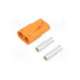 lcb50-f-amass