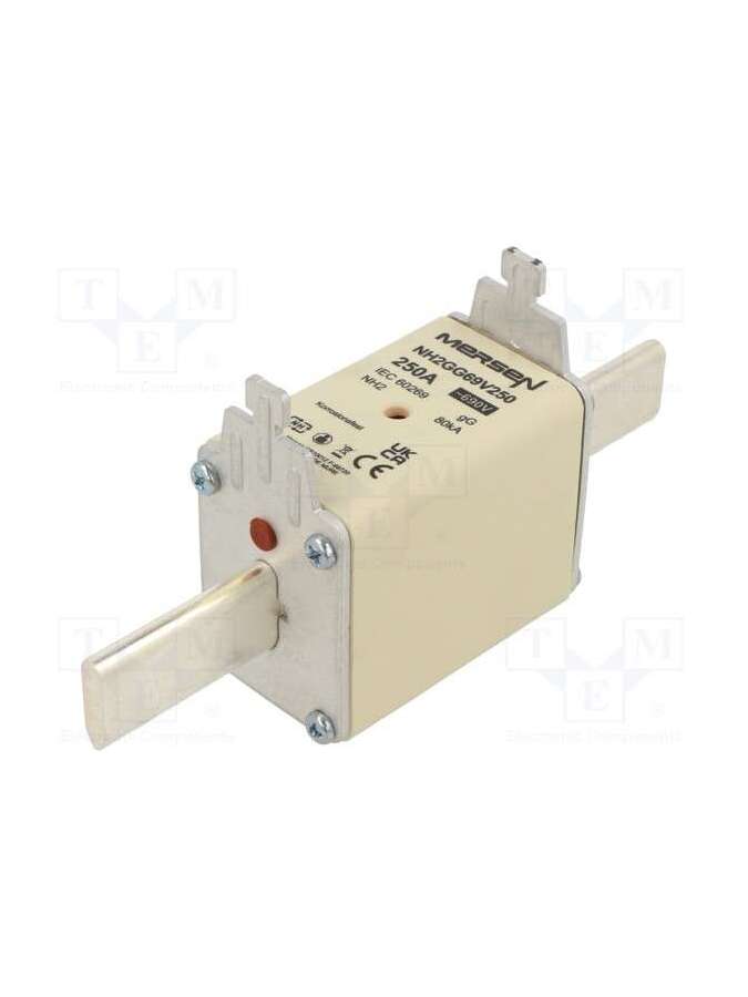 nh2gg69v250-mersen