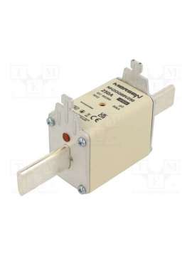 nh2gg69v250-mersen