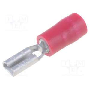 TMDV 280509-F-RED NICHIFU