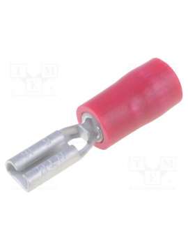 tmdv 280509-f-red-nichifu