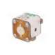 psr031fl0315-littelfuse