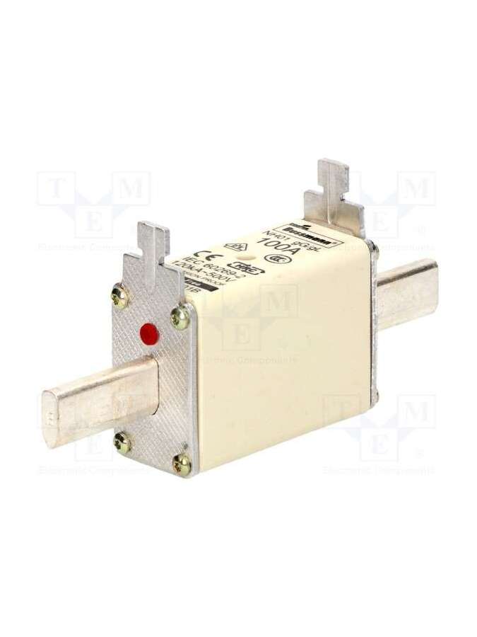 100nhg01b-bussmann