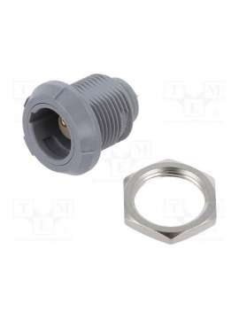 plg.m0.2gl.lg-lemo