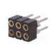ds1002-02-2*3bt1f6-connfly