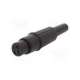 apf cp3003-cliff