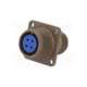 97-3100a-14s-2s-amphenol