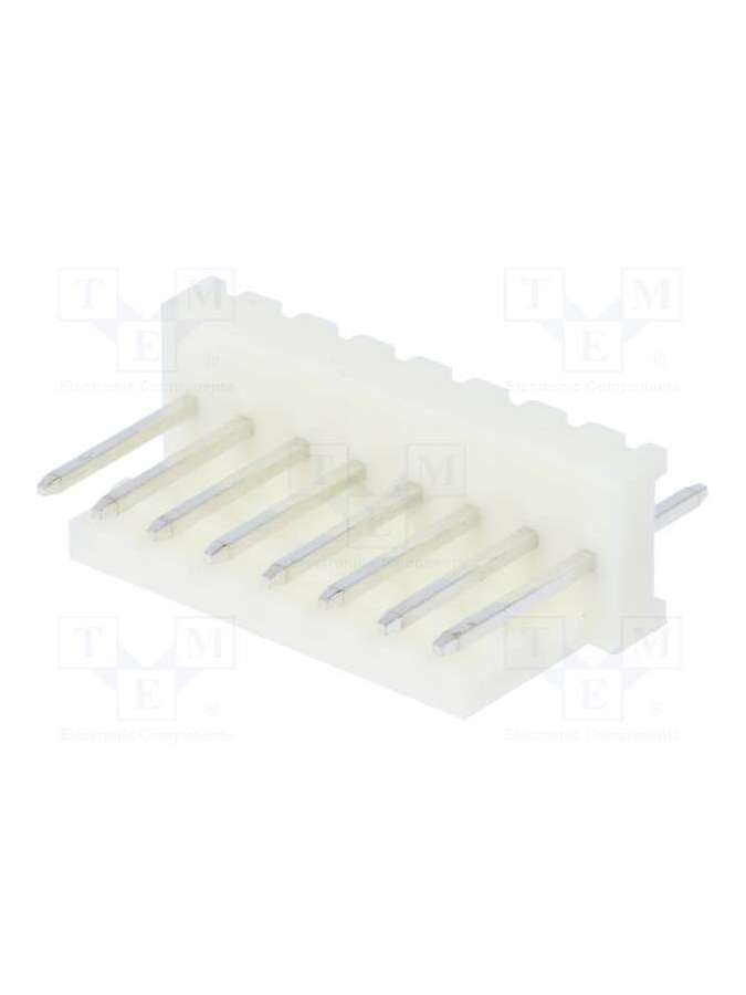 muss100-08-c_e-pancon