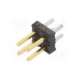 877580416-molex