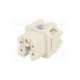 93601-0129-molex