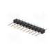 ds1021-1*10sf11-b-connfly