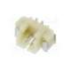 125sh-a-02-ts-smt-adam tech
