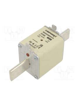 nh2gg69v315-mersen