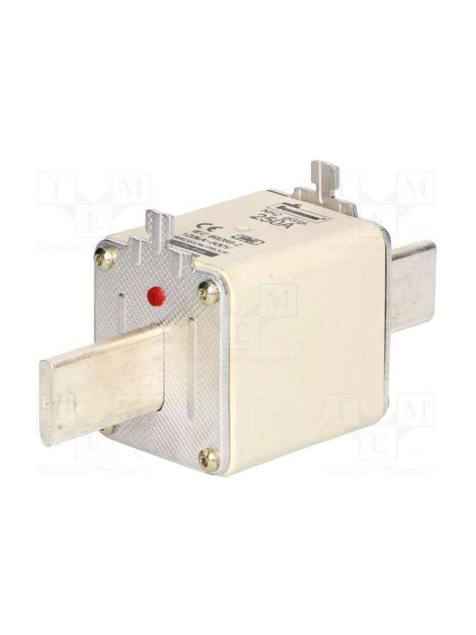 250nhg2b-bussmann