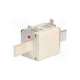 250nhg2b-bussmann