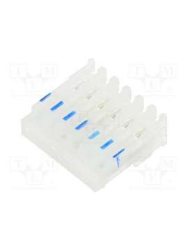 ce100f26-06-c_e-pancon