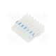 ce100f26-06-c_e-pancon