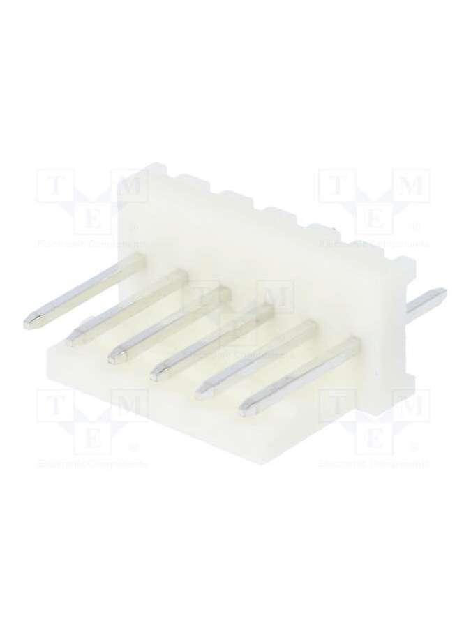 muss100-06-c_e-pancon