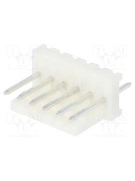 muss100-06-c_e-pancon
