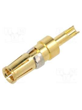 1727040154-molex