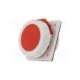 b.1905-pawbol