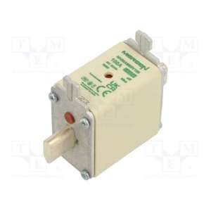 NH00AM69V100 MERSEN