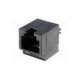 955032661-molex
