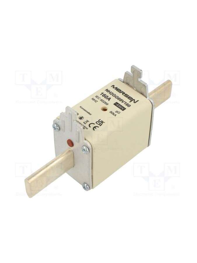 nh2gg69v160-mersen