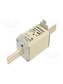 nh2gg69v160-mersen