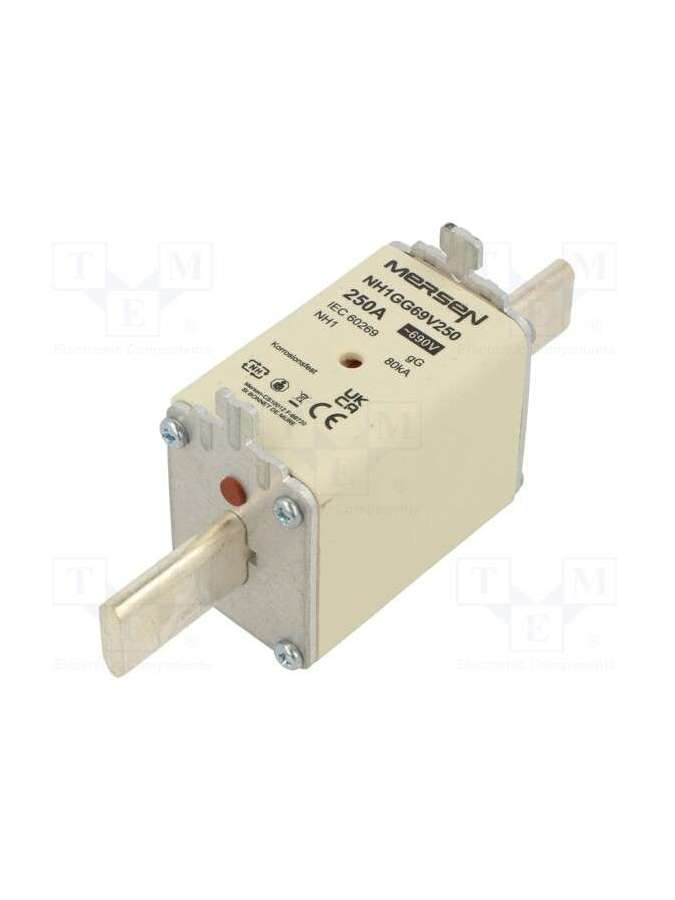 nh1gg69v250-mersen
