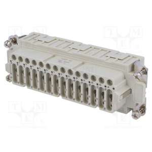CDSF 42 ILME