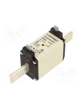 nh2gg50v200-1-mersen