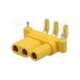 mr30pw-fb-amass