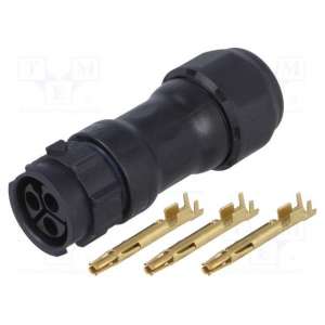 CC-03BMFA-QL8LPP AMPHENOL LTW