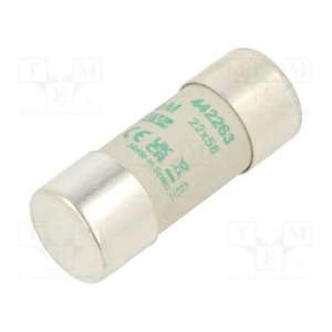 442263 DF ELECTRIC
