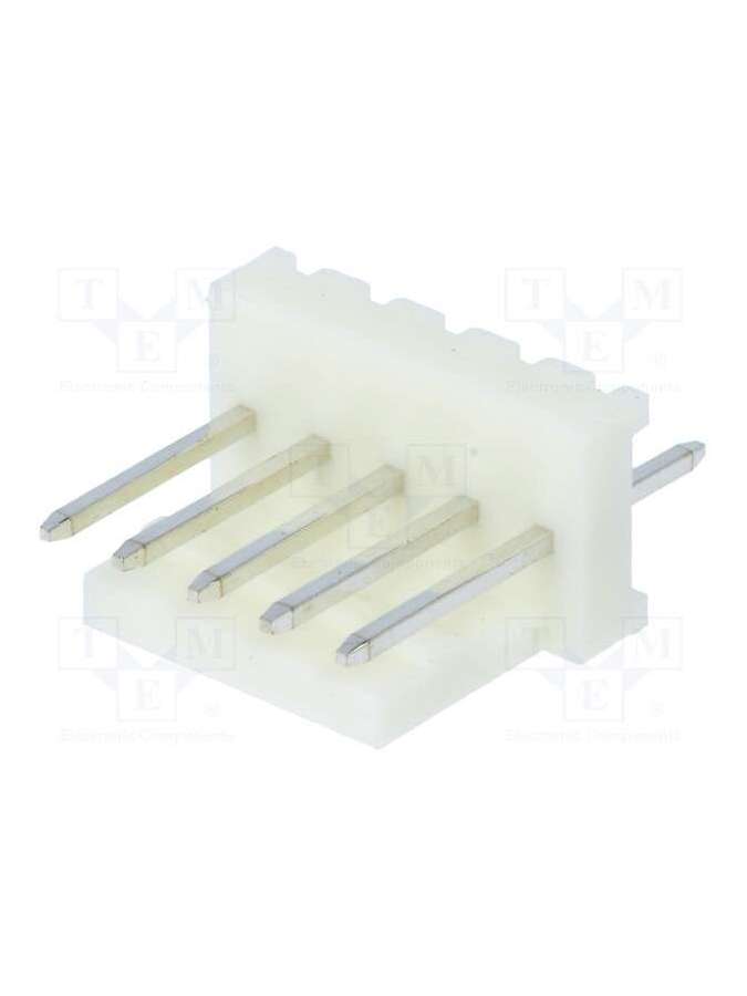 muss100-05-d_e-pancon