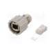 17-101794-conec