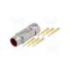 epic kit ls1 f6 5+pe k-lapp