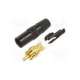 nys373-0-rean