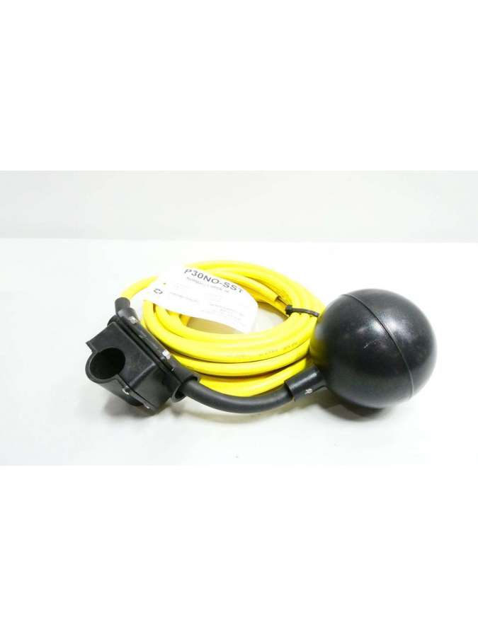 p30no-sst-anchor scientific