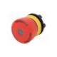 84-5021.2b20-eao
