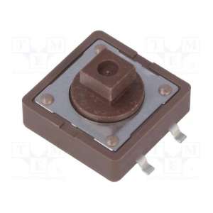 DTSM-24N-V-T DIPTRONICS