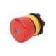 84-5031.2b20-eao