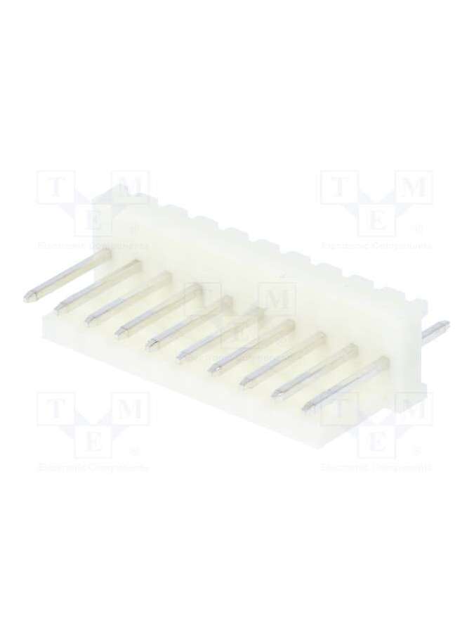muss100-10-c_e-pancon