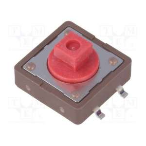 DTSM-24R-V-T DIPTRONICS