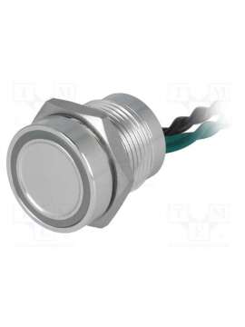 ps165p10ynt1g12v-onpow