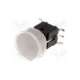 pb6172ml-13-highly electric